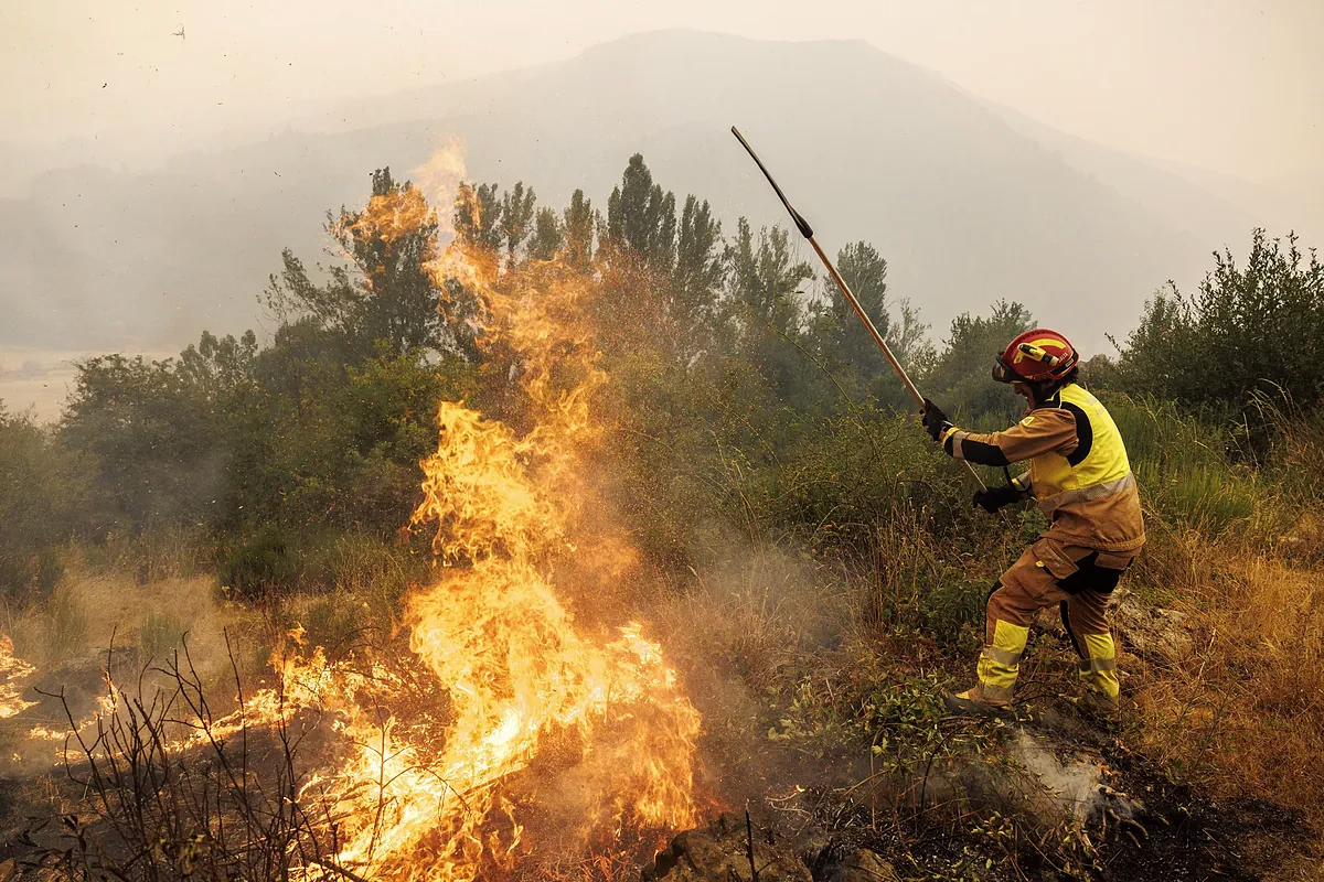 Incendios severos en España en tiempo real | Sánchez se desplaza hoy a Cáceres y Zamora para evaluar la situación de los fuegos.