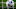 Club Brugge v Rangers - UEFA Champions League Play-offs Round Second Leg