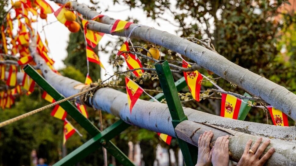 Las peñas de Móstoles celebran los 'quintos de mayo' trasladando un árbol al Parque Cuartel Huerta.