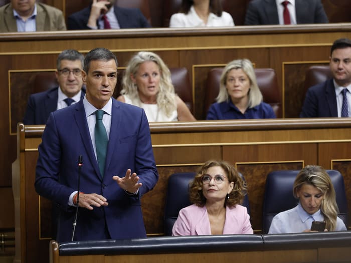 Hazte Oír denuncia al PSOE por intentar obtener impunidad a través de la Ley Falcon y advierte a Bruselas sobre posibles amenazas a la democracia.