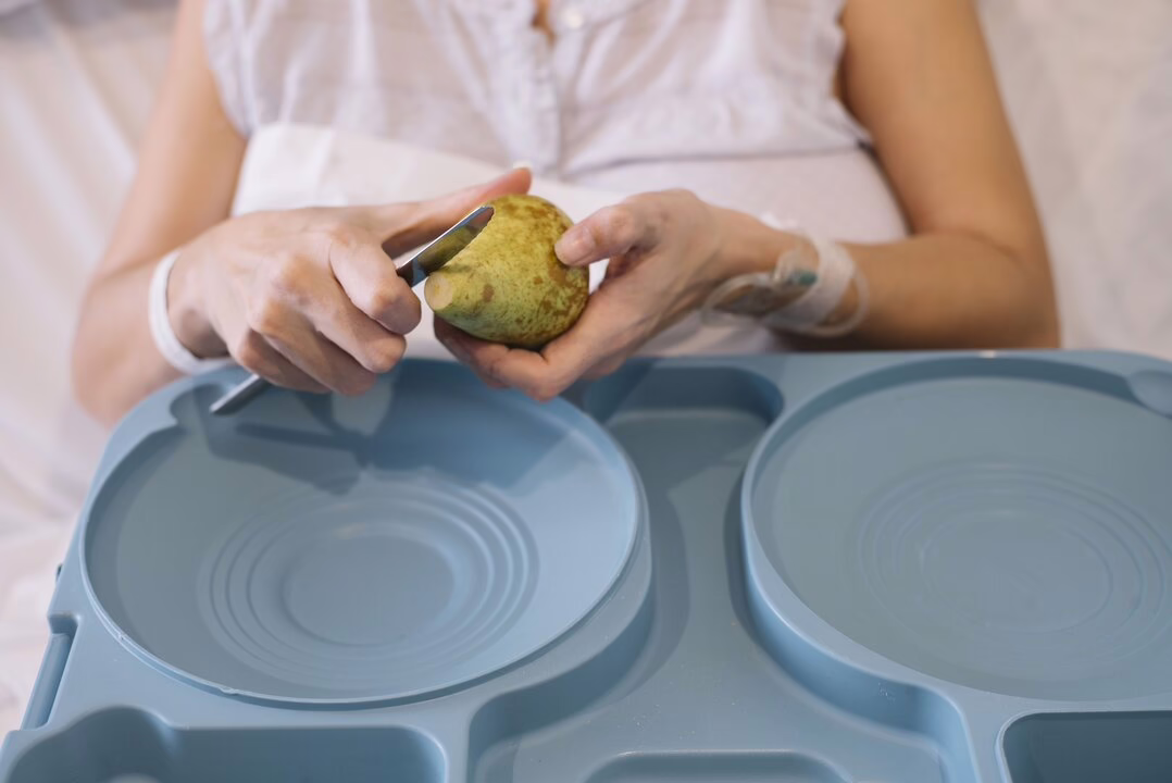 Comidas y refrigerios sencillos para el regreso a clases.