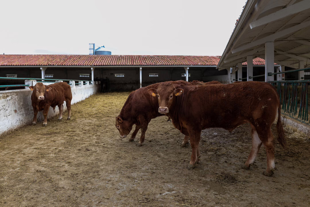 Imidra brinda formación sin costo para el ámbito agrícola y forestal.