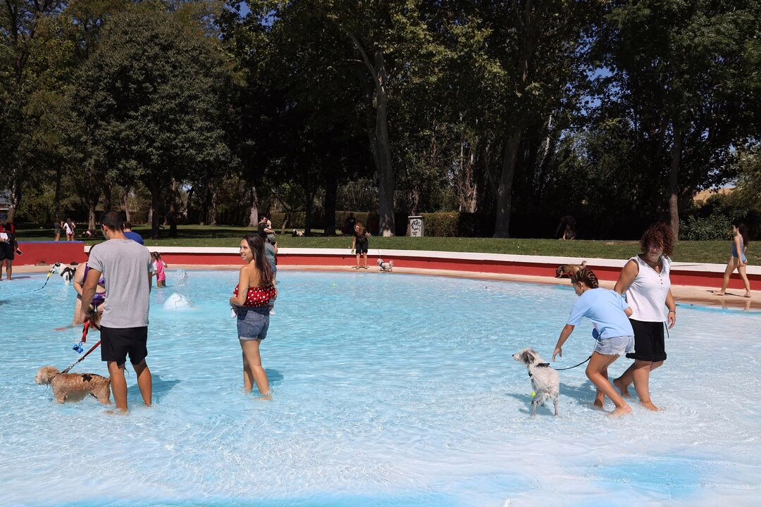 Fuenlabrada acoge el Festival FuenlaDog 2025 con entrada benéfica.