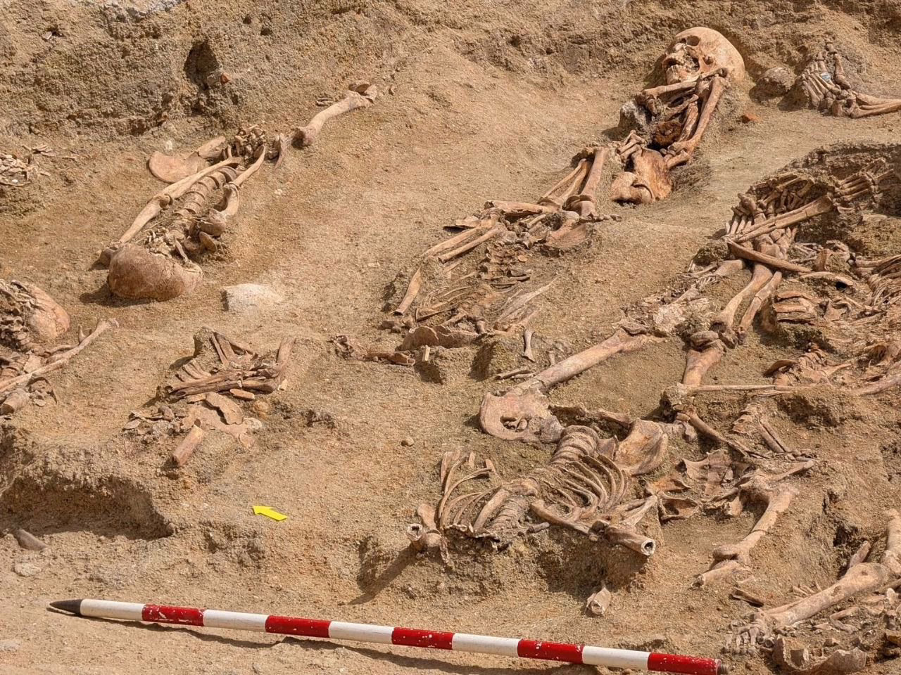 Hallazgo de Restos Óseos del Siglo XIX en una Excavación Arqueológica en Chamberí, Madrid