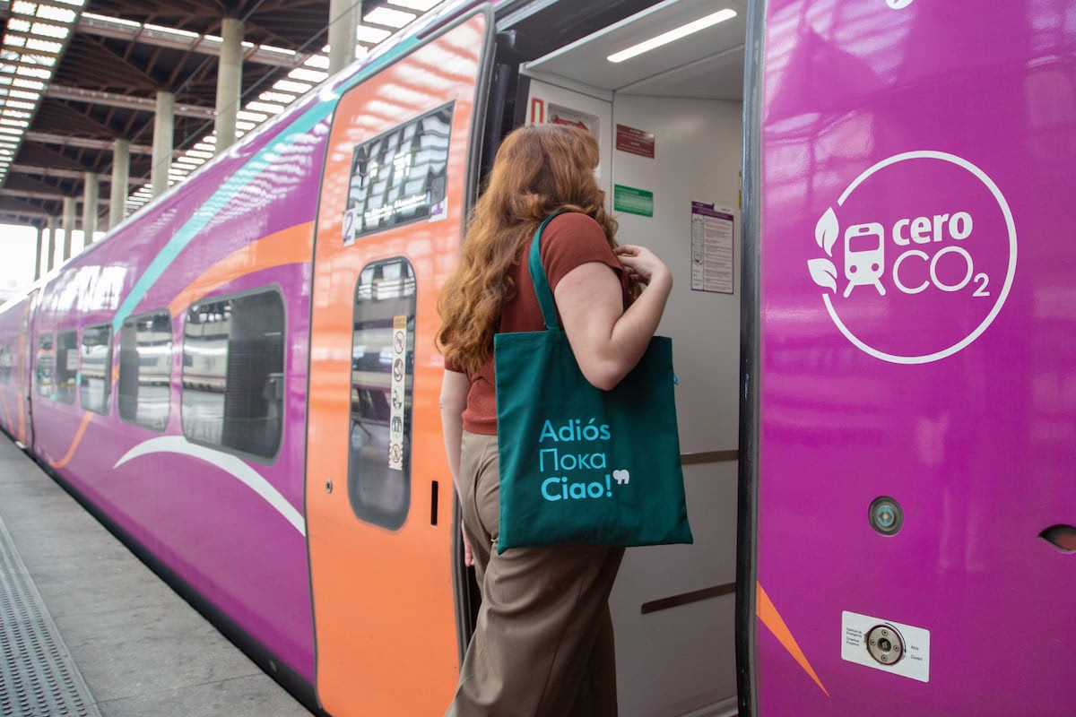 Renfe elimina los trenes Avlo en la ruta Madrid-Barcelona y continuará operando únicamente con AVE | Economía