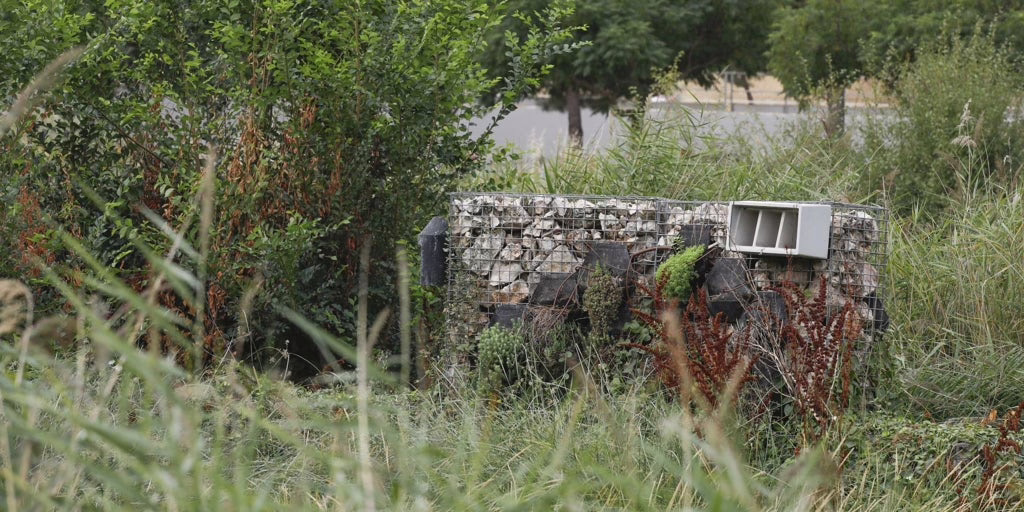 Mariposarios y cajas nido contribuyen a la conservación de la Naturaleza en los parques de Madrid.