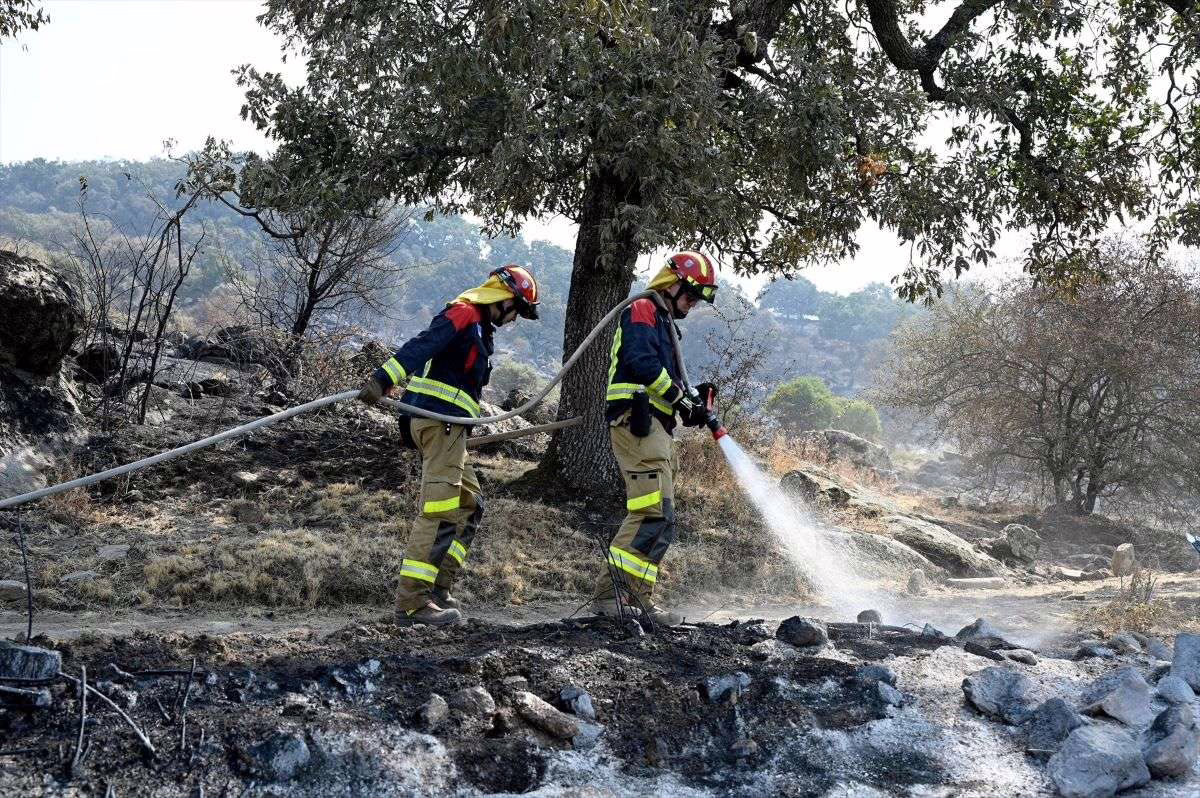 Moncloa concentra el 93% del presupuesto destinado a los bosques, pero responsabiliza a las comunidades autónomas de evadir su responsabilidad.