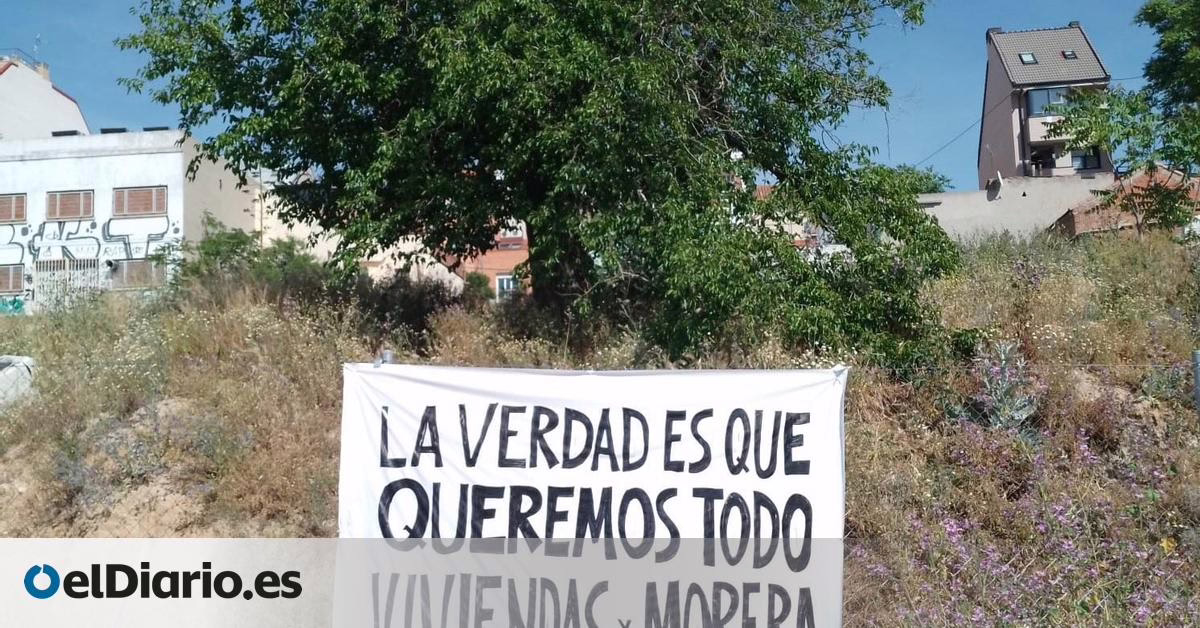 La EMVS corta la morera centenaria de Tetuán, un símbolo para los vecinos del antiguo barrio y del desorden urbanístico.