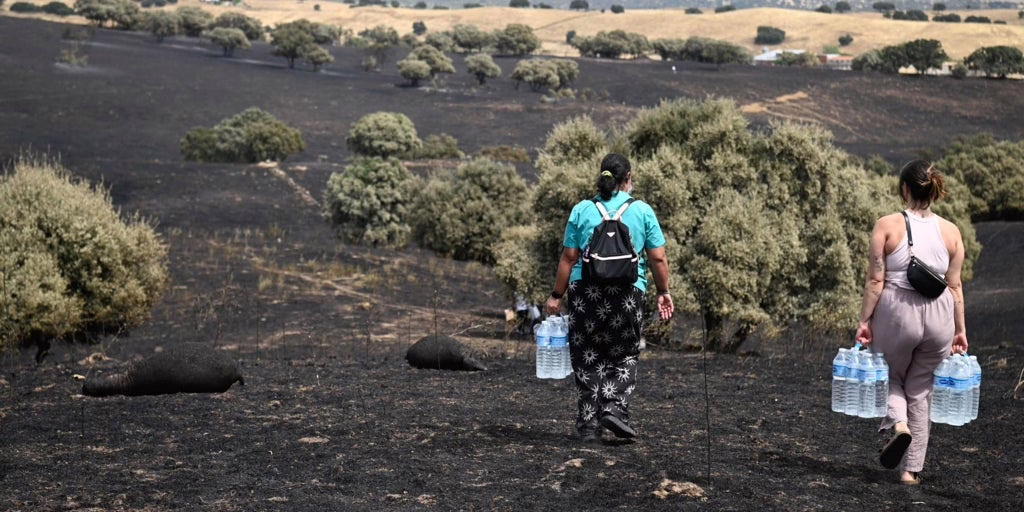 Conflicto entre Ayuso y el delegado del Gobierno por las áreas afectadas por los incendios forestales.