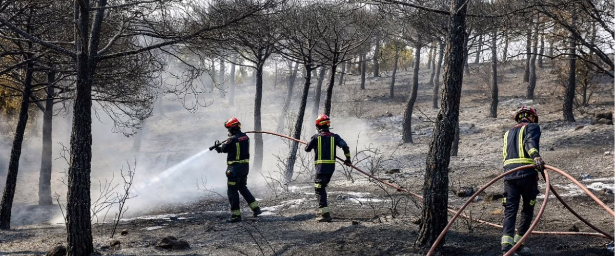 Los brigadistas forestales de la Comunidad de Madrid reinician este lunes una huelga indefinida en protesta por la precariedad y la temporalidad laboral.