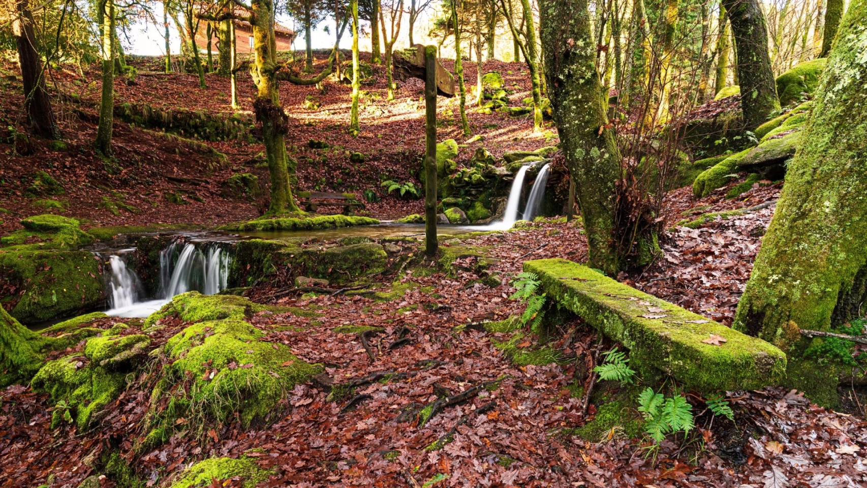 El asombroso lugar cercano a Vigo que no te puedes perder este otoño: "Un refugio natural".