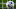 Club Brugge v Rangers - UEFA Champions League Play-offs Round Second Leg Club Brugge v Rangers - UEFA Champions League Play-offs Round Second Leg