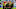 Celtic v Kairat Almaty - UEFA Champions League Play-offs Round First Leg Celtic v Kairat Almaty - UEFA Champions League Play-offs Round First Leg