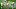 Trent Alexander-Arnold, Antonio Rudiger Trent Alexander-Arnold, Antonio Rudiger