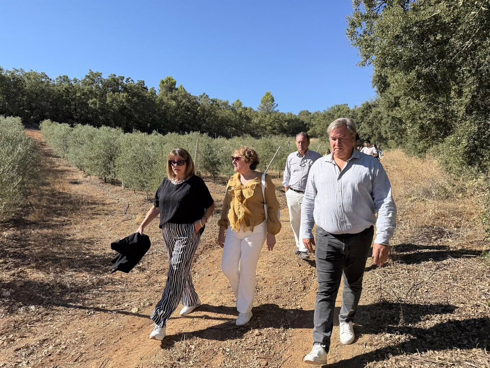 Inversión de 700.000 € para revitalizar el Camino Juan de Goyeneche.