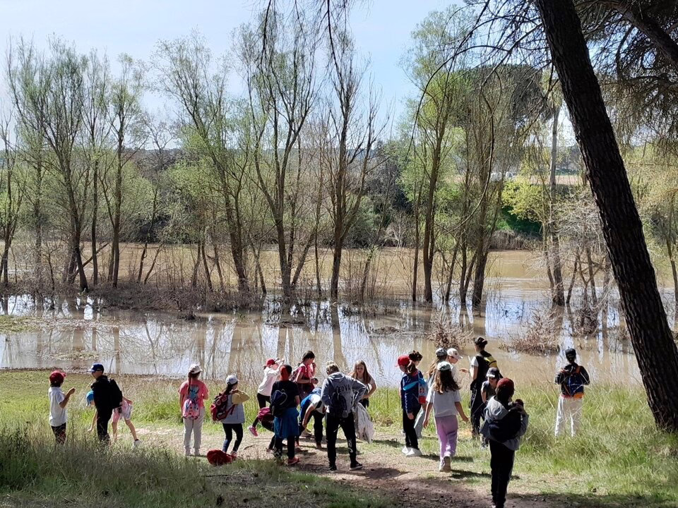 Inversión de 503.000 € en Centros de Formación Ambiental en Leganés