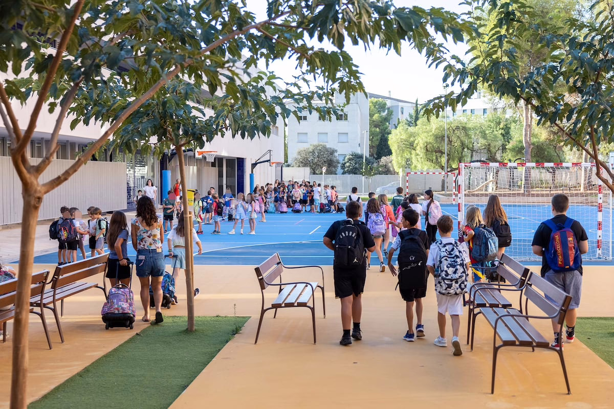 Inicia el ciclo escolar más diverso: uno de cada cuatro estudiantes de primaria en las escuelas públicas de siete provincias es extranjero | Educación