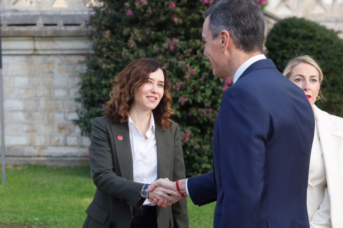 El Gobierno de Ayuso accede a las demandas de Sánchez y modificará la ley ambiental para prevenir un conflicto en el Tribunal Constitucional | Noticias de Madrid