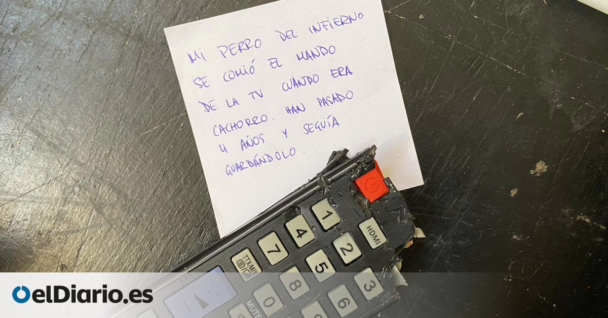 Rastreadores de desechos en Lavapiés: la exhibición para desprenderse de objetos preciados y defenderlos con argumentos.