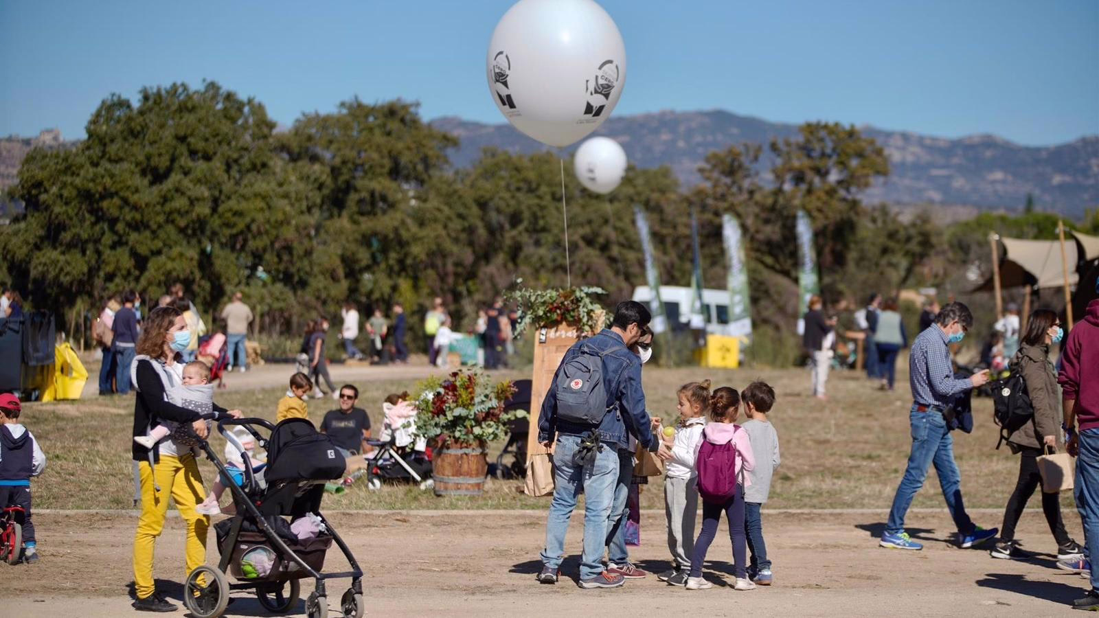 Efecto del IBI en el Deporte y la Cultura