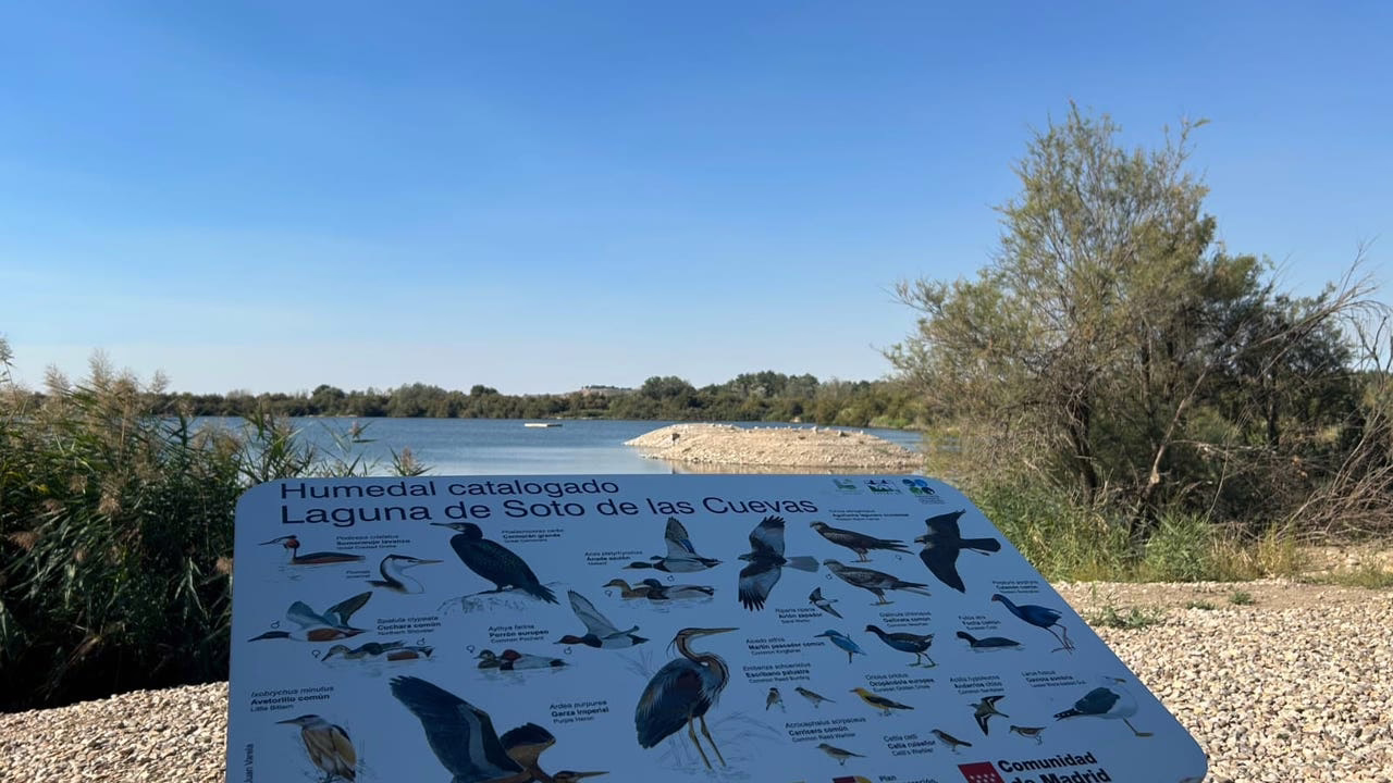 Una laguna recuperada en Aranjuez
