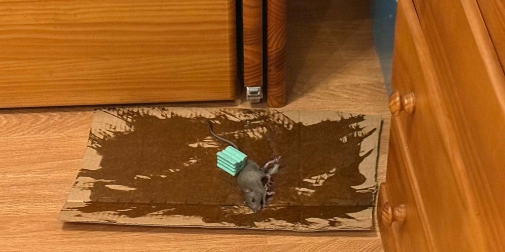 Acosados por las ratas en la Sierra de Madrid