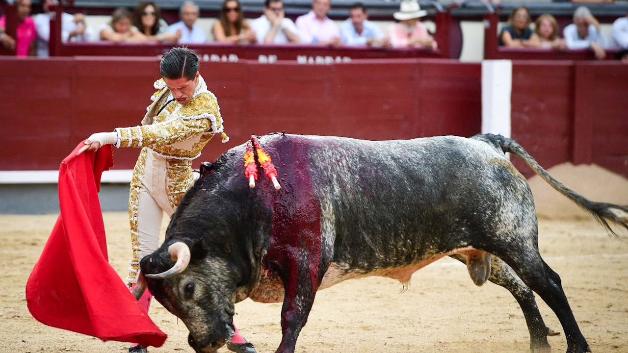 Tres novillos galardonados y una única vuelta al ruedo.