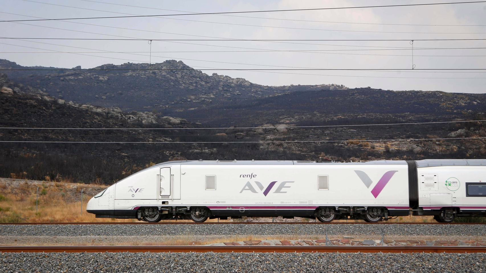 Interrumpidas las vías y detenidos los trenes.