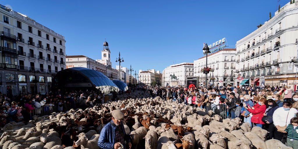 De Tapapiés a la Celebración de la Trashumancia