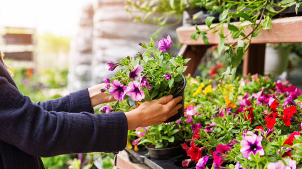 Descubre el famoso mercado de plantas que llega a Madrid.