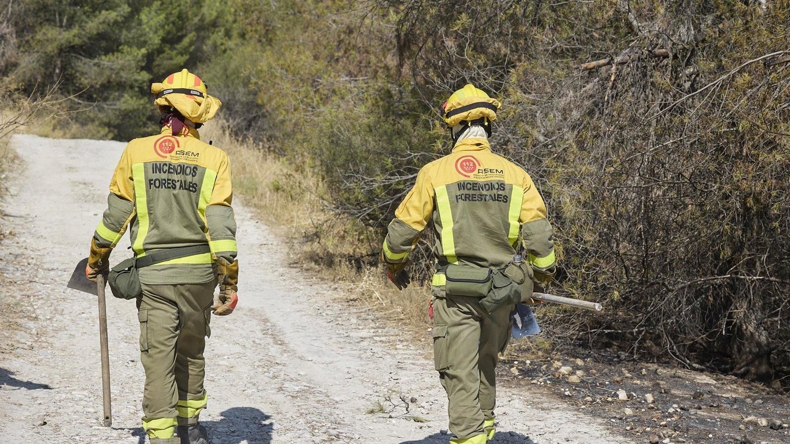 Novillo pone en valor el nuevo modelo de Tragsa para mejorar las condiciones de las Brigadas Forestales