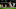 Olivier Giroud