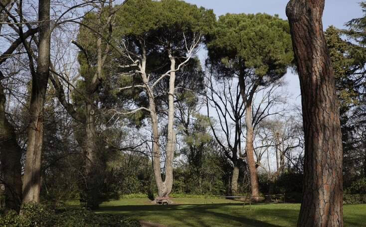 Nuevos jardines en honor a Óscar Moral y Eugenio Morales en el distrito de Barajas.