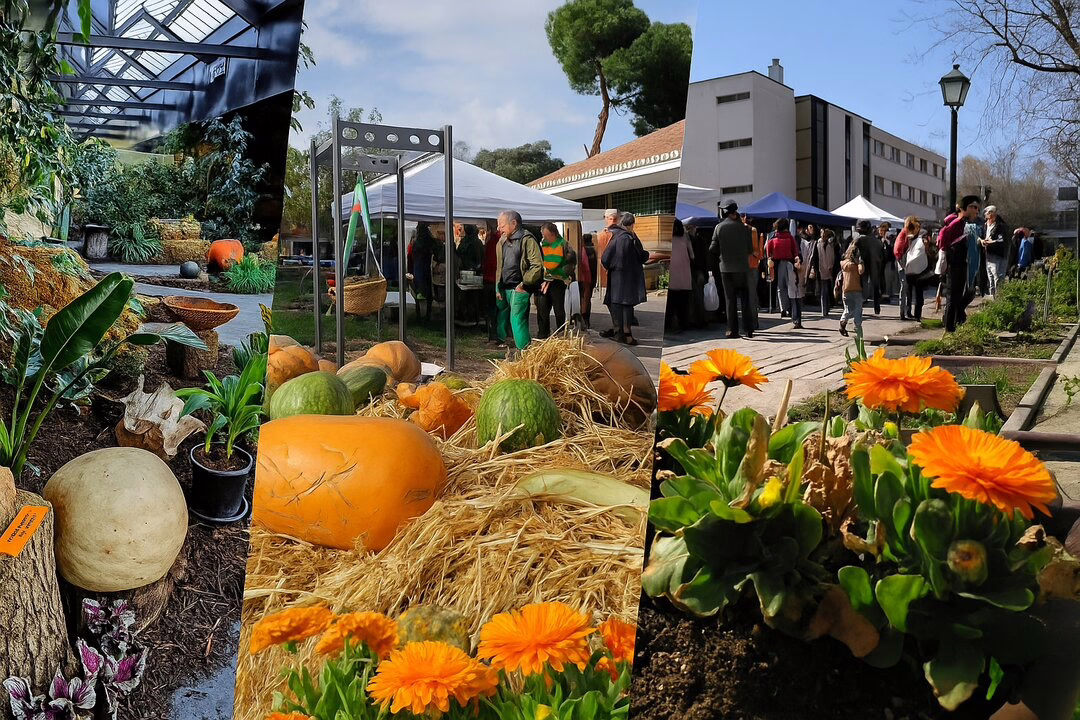 Actividades, mercado ambiental y conciertos en el Huerto del Retiro.