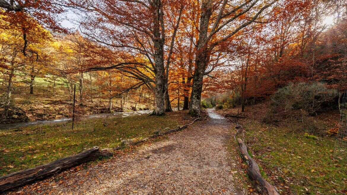 Actividades ecológicas gratuitas en Madrid durante este otoño.