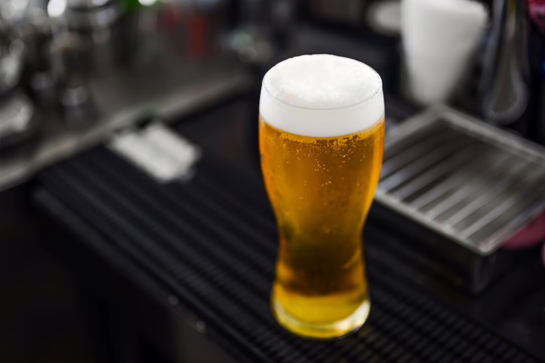 Actividades - Celebración de Cerveza Artesanal en Pinto
