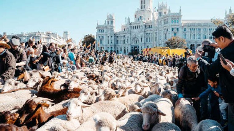 Los mejores planes que hacer este fin de semana en Madrid: de Tapapiés a la Fiesta de la Trashumancia