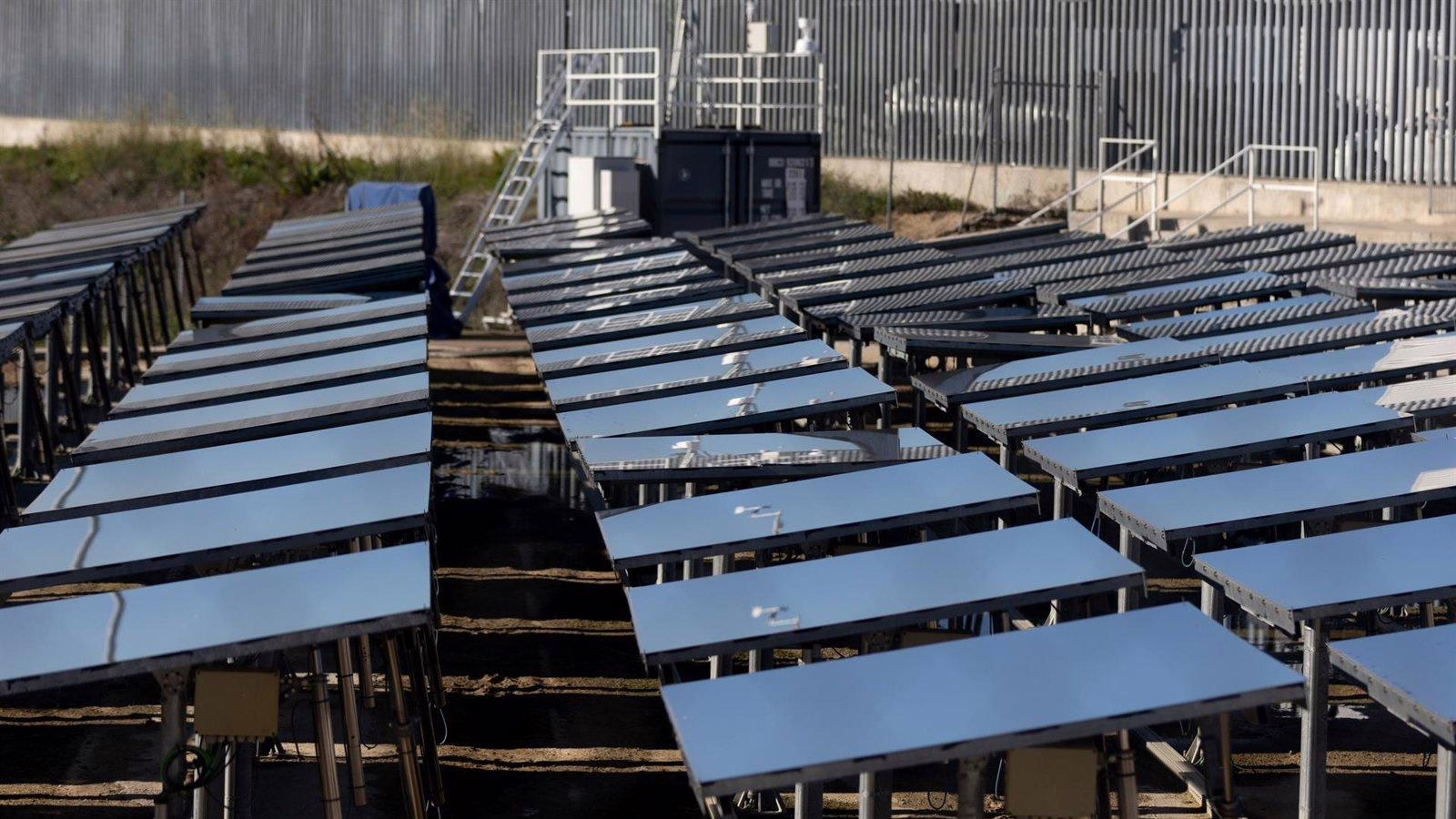 Madrid restringe áreas para instalaciones fotovoltaicas para salvaguardar viñedos y olivares.