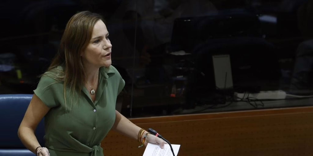 La Asamblea rechaza la propuesta de Vox para deportar a los menores extranjeros no acompañados y aumentar la seguridad en las localidades afectadas por la inmigración ilegal.