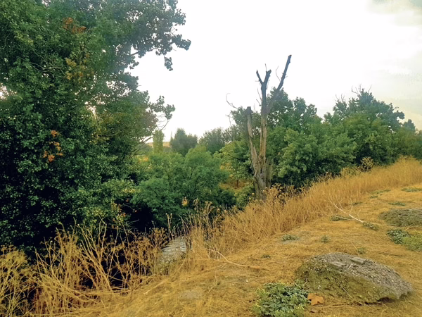 Villaverde en un solo plano: la otra cara de Madrid Río.