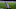 Toni Martinez Toni Martinez
