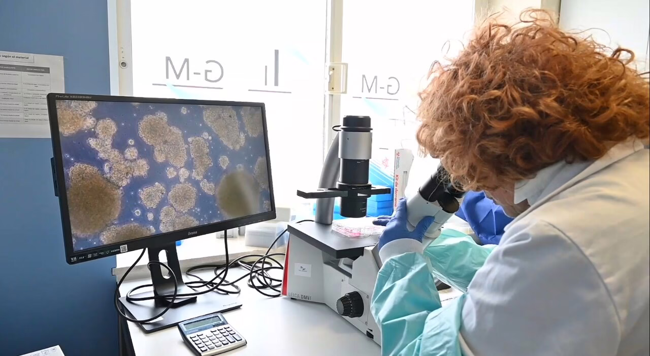 Más de 80 eventos relacionados con la salud en Madrid durante la Semana de la Ciencia.