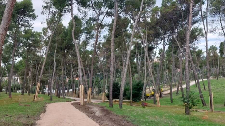 De qué manera Madrid actualizará la preservación de su patrimonio natural.