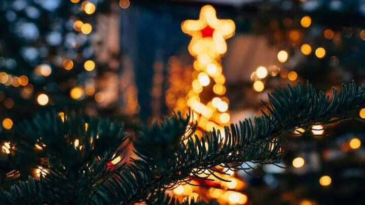 Navidad en Majadahonda: inauguración y adornos de luces LED