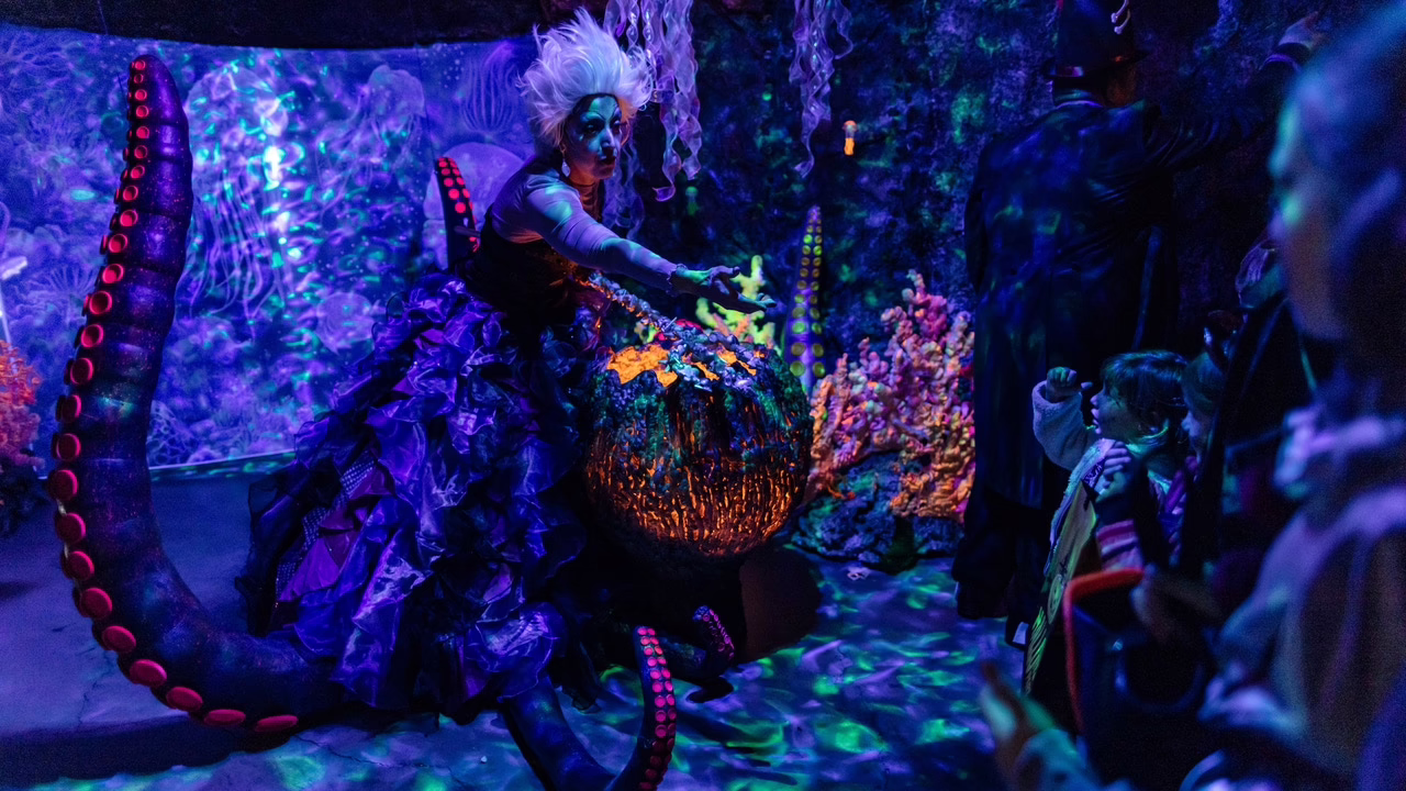 Paracuellos del Jarama se establece como el centro del Halloween familiar en Madrid.