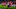 Iñaki Williams Iñaki Williams