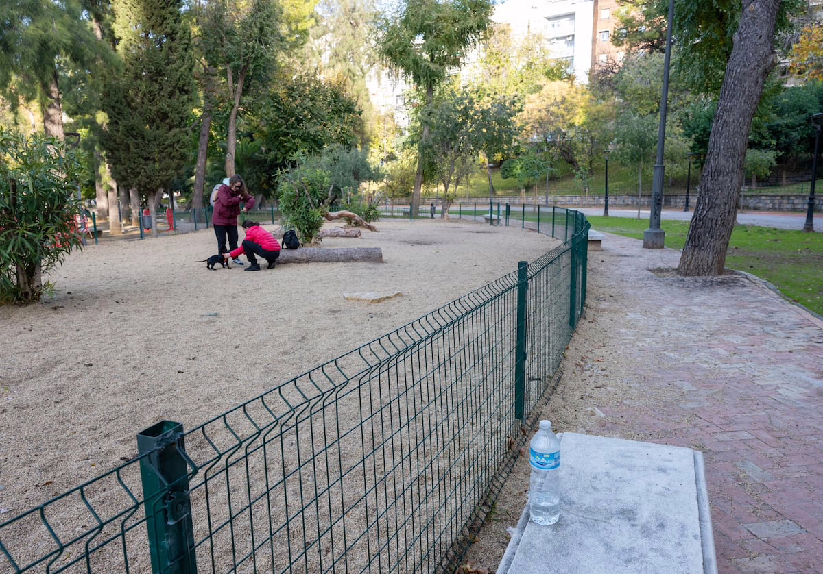 Compañeros de las dos adolescentes halladas muertas en Jaén afirman que padecieron acoso escolar en el colegio | Educación