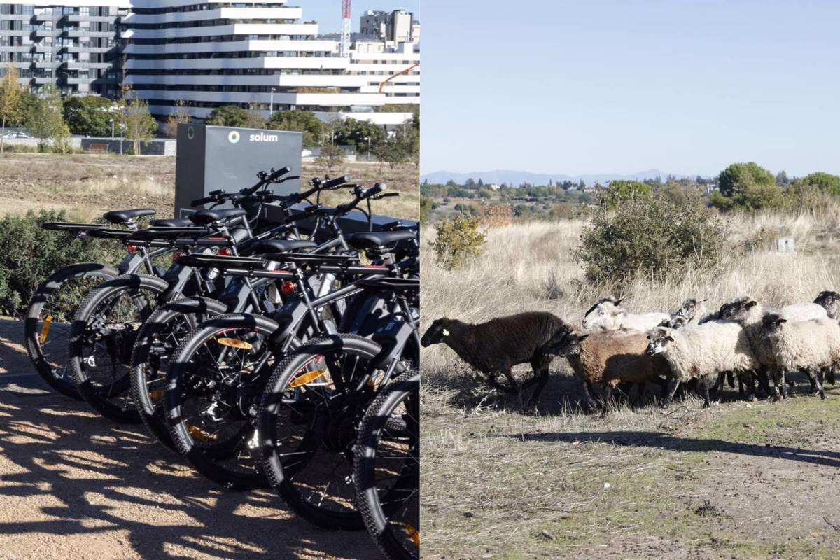 Dos parques de Madrid brindan 90 minutos de uso gratuito de bicicletas eléctricas (y durante el recorrido podrás avistar ovejas).