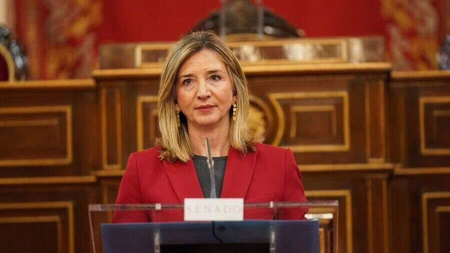 El PP solicita aclaraciones al Gobierno sobre el aumento del costo de la compra y la disminución del poder adquisitivo durante las festividades navideñas.