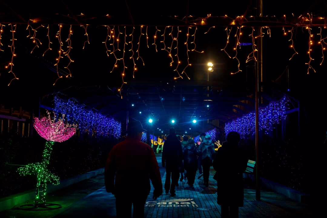 Navidad acuática en el Parque de Santander